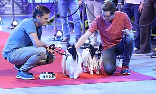 Matthias (l.) und Julian präsentieren ihr LEGO-Hundemodell vor der Jury. - Foto: RTL / Frank W. Hempel