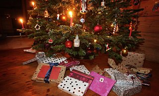 Weihnachtsgeschenke unter einem geschmückten Weihnachtsbaum. - Karl-Josef Hildenbrand/dpa