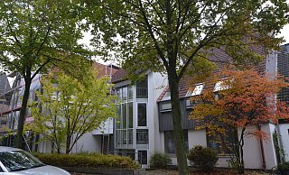 An der Renteistraße sollen 28 Bäume gefällt werden, wie hier vor dem ev. Gemeindehaus. - Mareike Patock