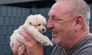 Stefan Timmerberg (59) mit dem Welpen Milo. Der Schoßhund tröstet über den Verlust des Mini-Maltipoo Filou hinweg, der vermutlich Gift gefressen hat. - Ulf Hanke