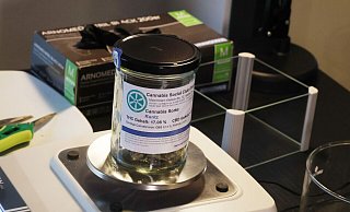 Vor wenigen Tagen wurde im Cannabis Social Club Erfurt erstmals Genusscannabis an Vereinsmitglieder ausgegeben. - Bodo Schackow/dpa