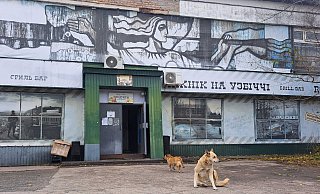 Tagelang berichteten internationale Medien über «blaue Hunde» in Tschernobyl. Im radioaktiv belasteten Sperrgebiet bezeichnet man die Berichte als Unsinn. - Andreas Stein/dpa