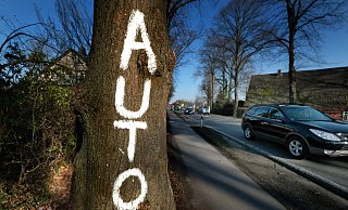 Die Bäume entlang der B 61 müssten einem vierspurigen Ausbau weichen. Derzeit rollen täglich 42.000 Kfz über die Bundesstraße. Die Staus nehmen zu. - Andreas Frücht