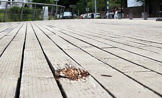 In den Bohlen auf den beiden Gehwegseiten der Schützenbrücken tun sich immer wieder Löcher auf. Nun sollen die maroden Holzplanken durch Kunststoffprofile ersetzt werden. - Heidi Froreich