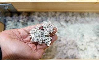 Bei doppelwandigen Gebäuden bietet sich die Dämmung etwa mit Zelluloseflocken an. - picture alliance / dpa Themendienst