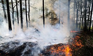 Der Löschzug konnte Schlimmeres verhindern. - Feuerwehr