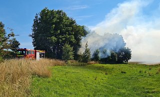 60 Einsatzkräfte der Feuerwehr Bad Wünnenberg bekämpfen einen Flächenbrand. - Feuerwehr Bad Wünnenberg