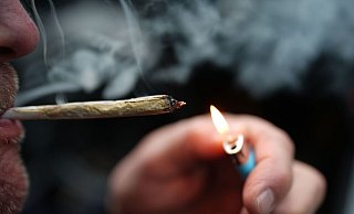 Cannabis zum Eigenkonsum ist seit einem Jahr für Erwachsene erlaubt. (Archivbild) - Marcus Brandt/dpa