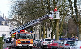 Vorm Korb einer Drehleiter aus versuchen Feuerwehrleute am Riemekepark vergeblich, einen abgebrochenen Ast in großer Höhe zu erreichen. Leider stehen die geparkten Autos im Weg, so dass nur die Möglichkeit bleibt, den Gefahrenbereich abzusperren. - Ralph Meyer