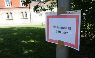 In mehreren Kommunen im Kreis Paderborn sind mutmaßliche Giftköder gefunden worden. - Birger Berbüsse