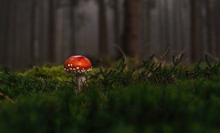  - Symbolfoto