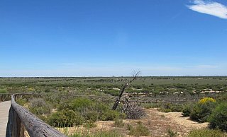 Der Nationalpark Doñana ist ein flaches, früher periodisch überschwemmtes Feuchtgebiet, das zum Meer hin von hohen Wanderdünen wie hier an der Cuesta Maneli begrenzt wird. - Jan-Uwe Ronneburger/dpa