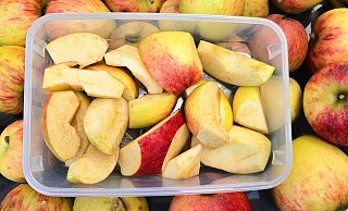 Der Apfel in seiner schönsten Form: Kleine Schnitzel, die nebenher bei der Arbeit wunderbar verspeist werden können. - Kurt Ehmke