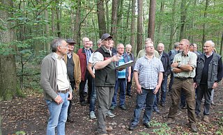 Mitten im Wald: Vor Ort erläuterte Peter Heidmeier anhand eniger ausgesuchter Beispiele die Schadenslage. - Klaus Frensing
