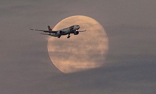 Die Lufthansa will bei der portugiesischen TAP einsteigen. - Armando Franca/AP/dpa