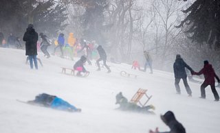Kinder und Familien rodeln im Volkspark Friedrichshain in Berlin. - Foto: Christoph Soeder/dpa