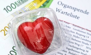 Das Thema Organspende ist am Montag Thema im Bundestag. - picture alliance