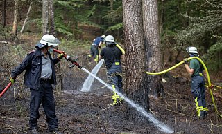 Mitte Mai erst brannte es direkt unterhalb der Hünenburg - vermutlich Brandstiftung. - Oliver Krato