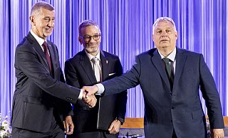 Andrej Babis (l-r), Herbert Kickl und Viktor Orban in Wien. - Tobias Steinmaurer/APA/dpa