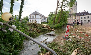 Der Geisselsche Garten in Paderborn ist durch den Tornado schwer beschädigt worden. - Niklas Tüns (Archivbild)