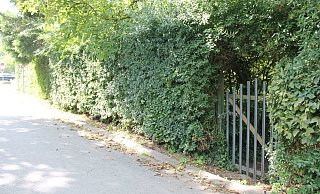 Die Kleingärten an der Weser sollen Parkflächen für die Landesgartenschau werden. - Manuela Puls