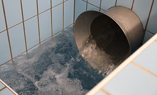 Das Quellwasser ließe sich direkt so trinken. Es ist 10 bis 12 Grad kühl. - Susanne Blersch