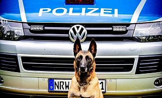 Ein Spürhund unterstützte die Polizei bei der Suche nach der Seniorin. - Polizei