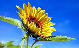  - Couleur/Pixabay
