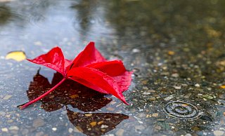 In NRW ist der Herbst angekommen, die Zeit der hohen Temperaturen ist vorerst zu Ende. - dpa