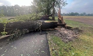 In Friedewalde stürzten wegen des Unwetters Bäume auf die Straße. Foto: - privat
