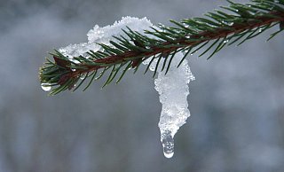 Böses Erwachen nach dem Tauwetter. - Symbolfoto