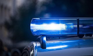 Die Polizei verfolgt am Sonntagabend zwei Jugendliche auf einem Quad. Auch ein Spürhund kommt zum Einsatz. - Pixabay