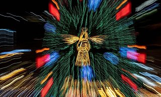 Die Baum-Preise für Weihnachtsbäume bleiben dieses Jahr wohl ungefähr auf Vorjahresniveau. - Dieter Menne/dpa