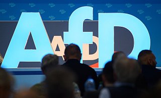 Europawahlversammlung der AfD in Magdeburg. - Klaus-Dietmar Gabbert/dpa