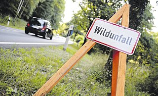 Markierung: Das Schild auf dem roten Holz-Dreibein weist auf einen Wildunfall hin. - picture alliance/dpa
