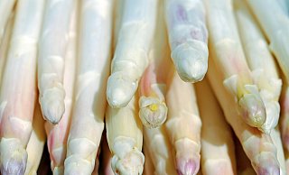 Spargel ist bei den Deutschen sehr beliebt.