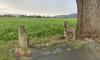 Mehrere Sitzbänke entang des Steinkrugweges wurden beschädigt. - Stadt Höxter