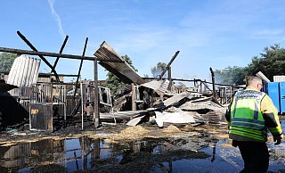 Von dem Reitstall, in dem sieben Pferde untergebracht waren, sind nur noch Reste zu erkennen. - Nicole Sielermann