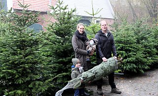 Wim (3) packt gern mit an, wenn Papa Till Moerkerk Nordmanntannen aufstellt. Mama Annika und der erst 12 Wochen alte Floris schauen zu. - Frank-Michael Kiel-Steinkamp