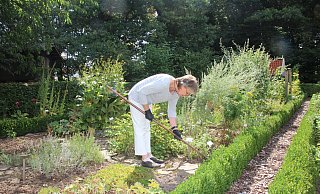 Der Bauerngarten macht so viel Arbeit, dass ehrenamtliche Helfer wie Goitte Auf dem Kampe sie kaum noch bewältigen können. Die Buchsbaumhecken, die auf diesem sommerlichen Foto noch zu sehen sind, hat der Zünsler mittlerweile vernichtet. - Heidi Froreich