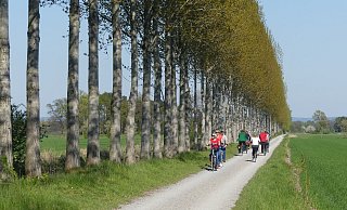 Am Bokerkanal lässt es sich gut Radeln. Viele Touren führen hier entlang. - Tourist Information Paderborn