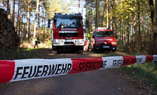 Die Paderborner Feuerwehr muss besonders im Sommer immer mal wieder zu Waldbränden ausrücken. - Pixabay (Symbolbild)