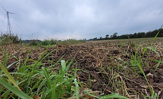 Parallel zur Autobahn 30 in Ahle soll auf landwirtschaftlichen Flächen eine große Solar-Anlage entstehen. Das Unternehmen Bioconstruct hat dazu bereits Gespräche mit betroffenen Landwirten und Grundstückseigentümern geführt. - Florian Weyand