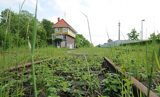 Das Stellwerk im Bahnhof Rahden ist seit Wochen unbesetzt und deshalb ist Rahden seit Mitte März 2023 vom Zugverkehr abgeschnitten. Mittlerweile holt sich das Grün den Bahnhof zurück. - Joern Spreen-Ledebur