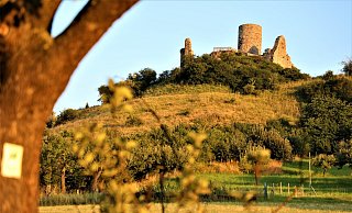 Der malerische Desenberg bei Warburg ist als Wanderziel ideal. - Simone Flörke