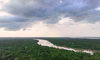 Deutschland will viel Geld in einen Fonds zum Schutz der Tropenwälder geben. - Fernando Llano/AP/dpa