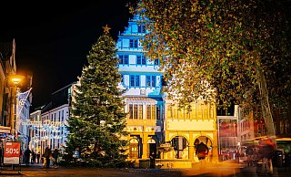 Vor dem illuminierten Rathaus steht der bislang größte Weihnachtsbaum -  150 Meter Lichterkette bringen ihn zum Strahlen. - Stadt Paderborn/Besim Mazhiqi