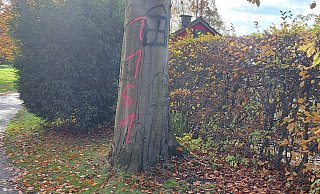 Der Zahlencode 1161 wird von Rechtsextremen genutzt, um sich gegen die Antifa zu positionieren. Das schwarze Haus vom Nikolaus hier in Bielefeld war für kurze Zeit mal ein Hakenkreuz. - privat