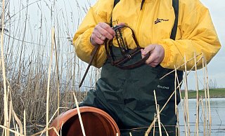 Nagetier-Falle: Eine solche Klappfalle fanden Spaziergänger im hohen Gras auf einem Feld in Bielefeld-Senne. Sie ist dafür da, größere Nagetiere wie Bisamratten zu fangen. - Symbolfoto: picture-alliance/ dpa