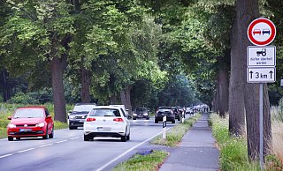 Die B61 stellt die zentrale Verbindung zwischen zwischen Gütersloh und Rheda-Wiedenbrück dar, rund 18.000 Kfz und 1.150 Lkw verkehren dort täglich. Eigentlich sollte die Fahrbahndecke dort ab Anfang August saniert werden, doch jetzt starten die Bauarbeiten erst im September. - Patrick Menzel